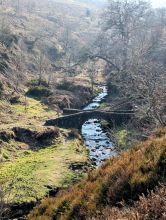 goyt